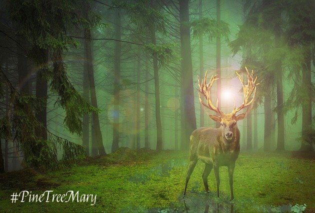 Pine Tree Mary