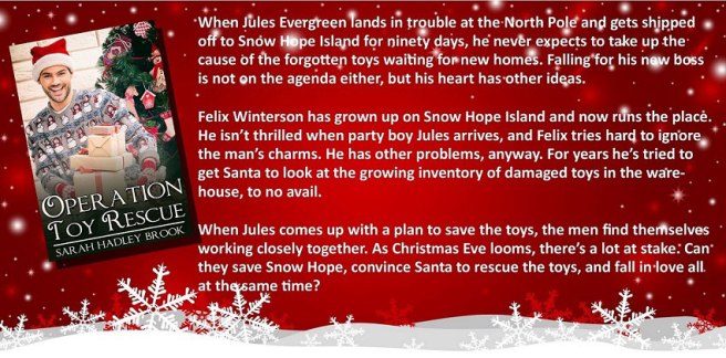 Operation-Toy-Rescue-text